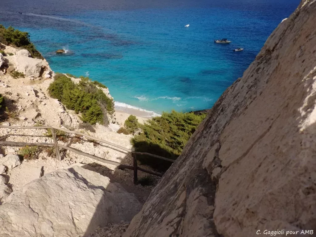 media-librarymspor1mdq60c3b752Hp