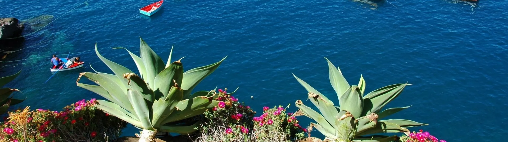 MADEIRA BY CAR: self-guided