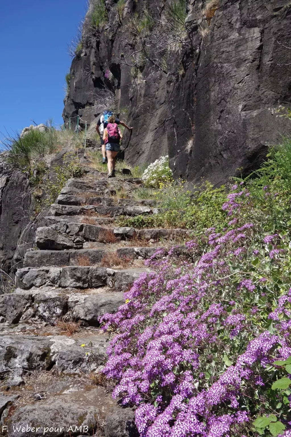 media-library30iqmjlrsmc10FP5hyo