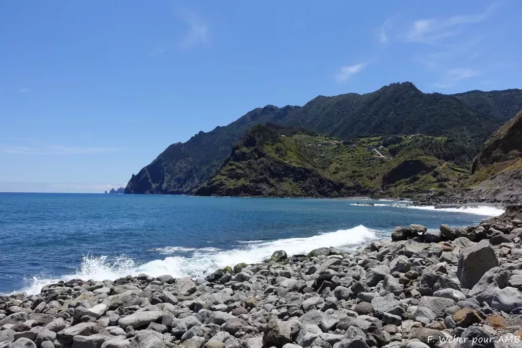 media-librarybsbhos00hqc44eQsTEo