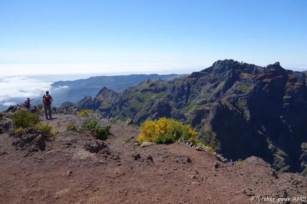 media-library411jes2pub020cG7z1n