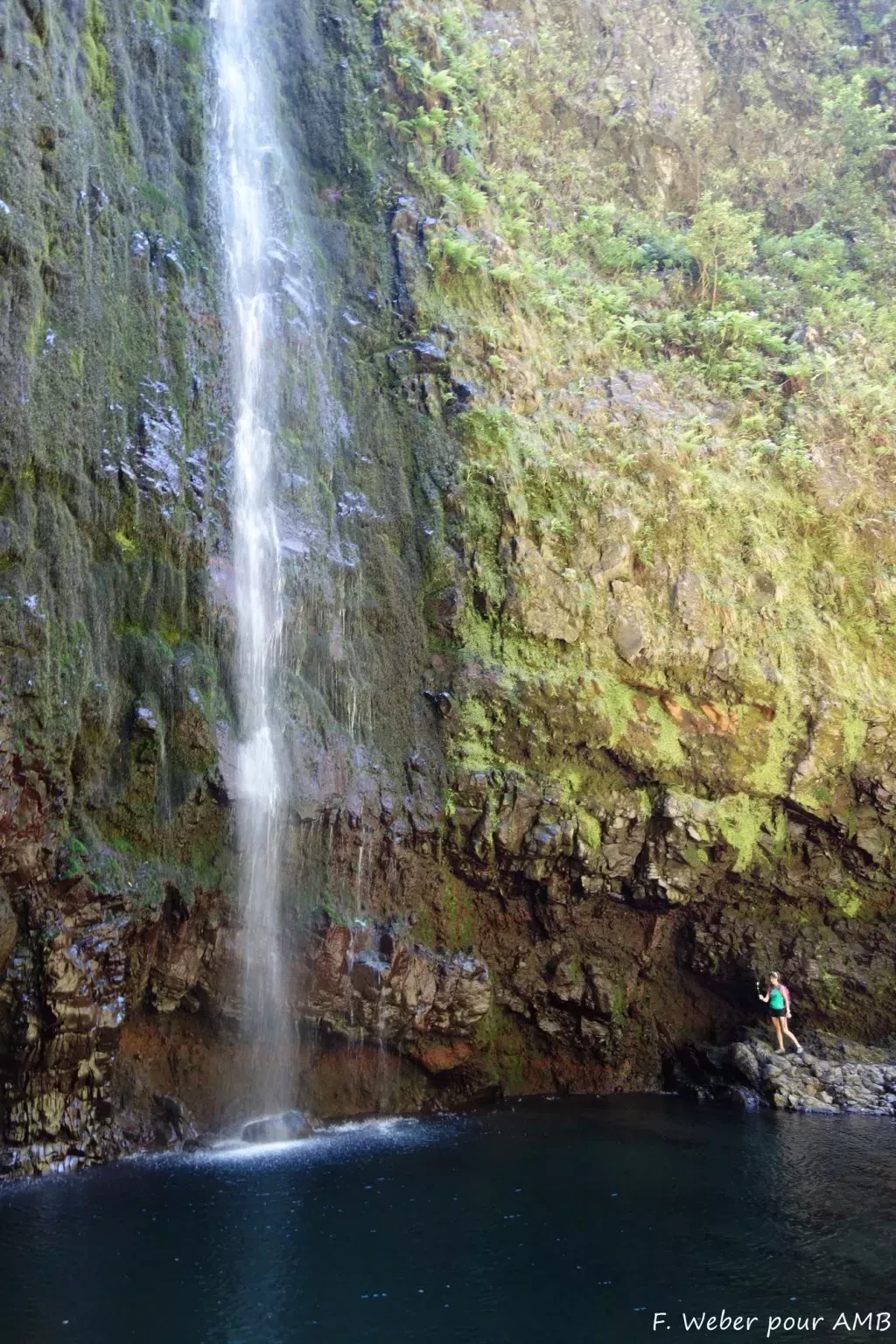 media-librarysdi0bluie4s154BrXpp