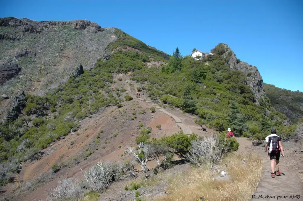 media-library8peisf331fn94Ah4Wsp