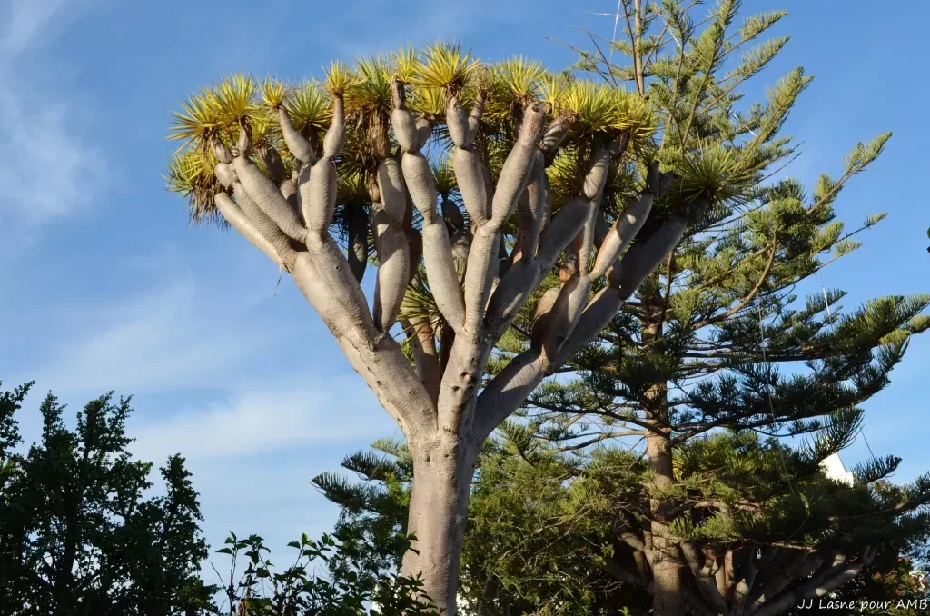 media-library9rica99bk2ki0EvWIIp