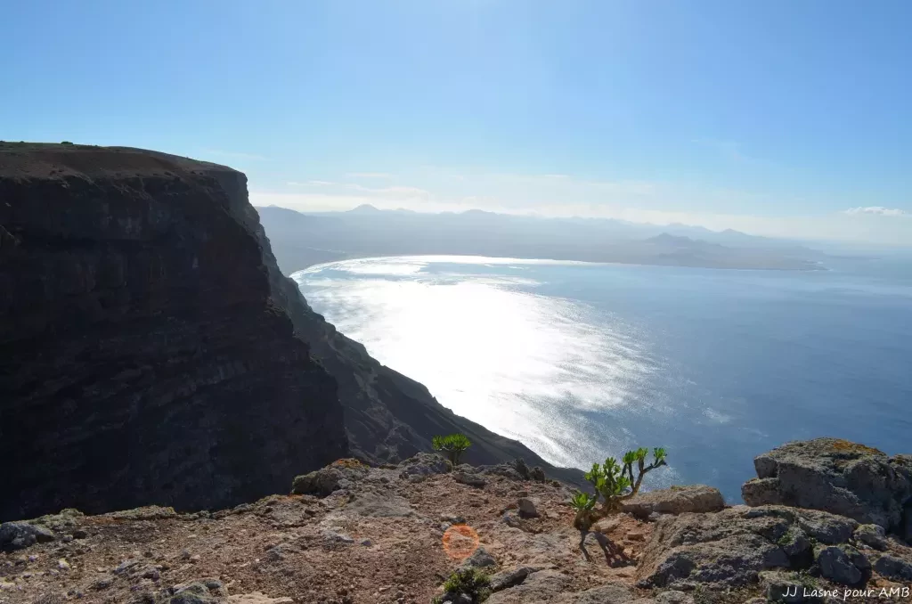 media-libraryicg22jtotvq4bgCnjrn