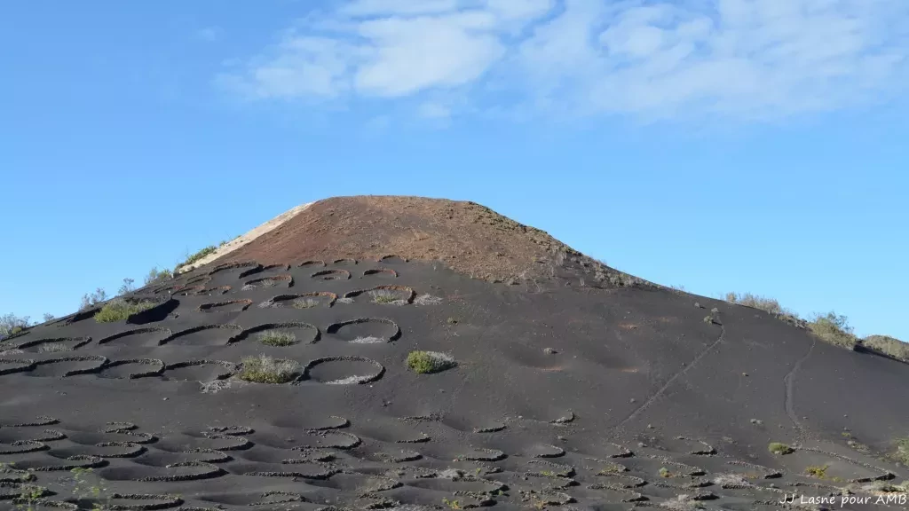 media-libraryjdgn57qc0pqs9SqVD9o