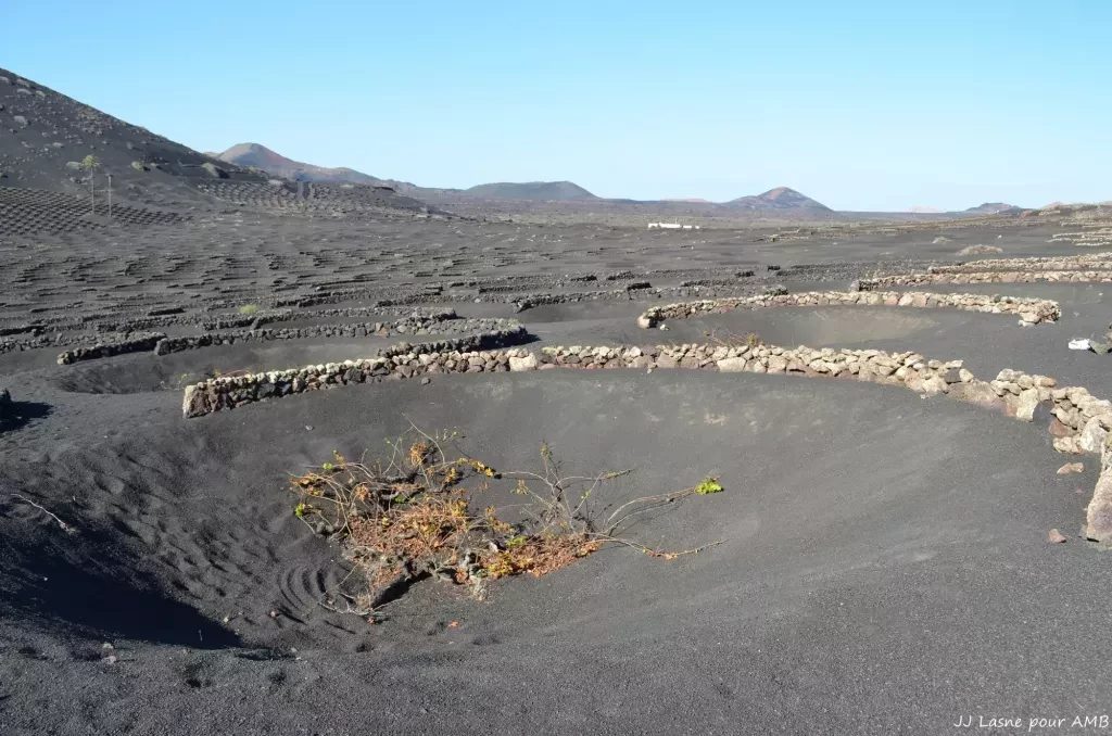 media-libraryo5tr51kkkorn8d9du4l