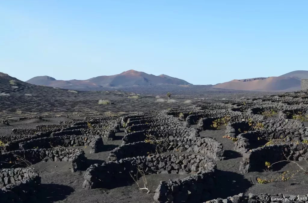 media-librarytr0psatvu37pd9rSSJm