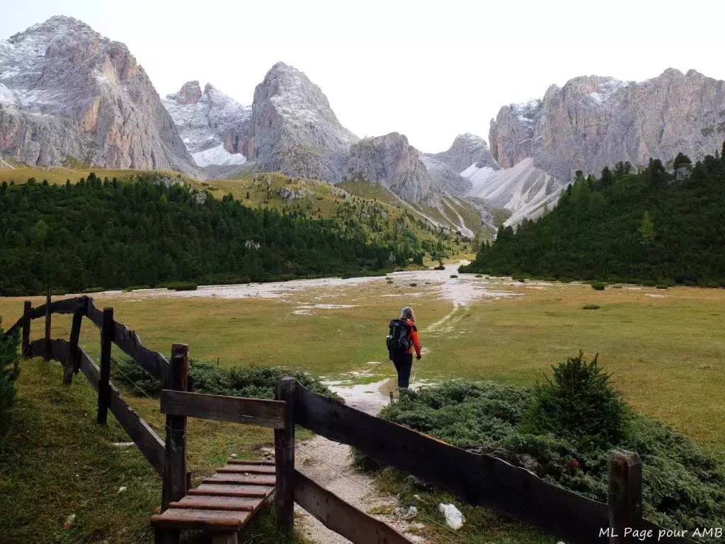 media-libraryfcgtpchtm29ked2npPm