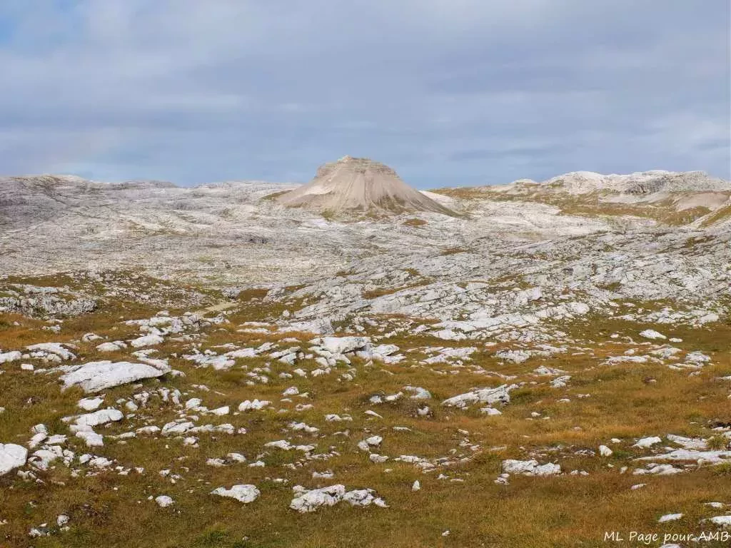 media-libraryuc5j4f8splf8c2IJH1n