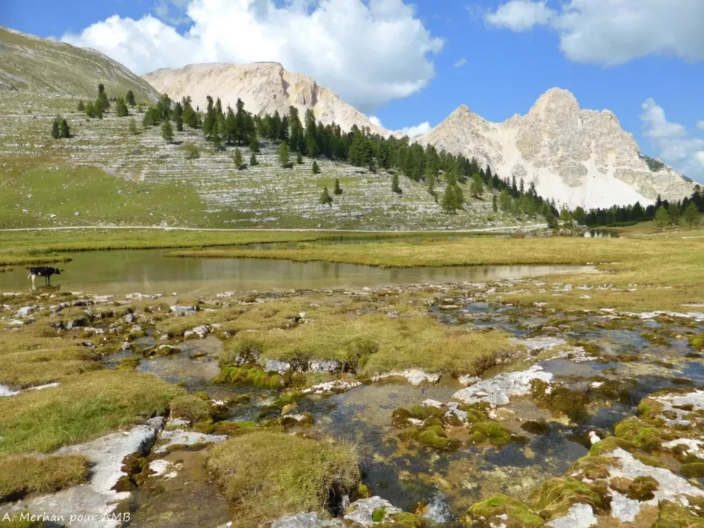 media-libraryh45qnbj12lj7aZ4gC1n