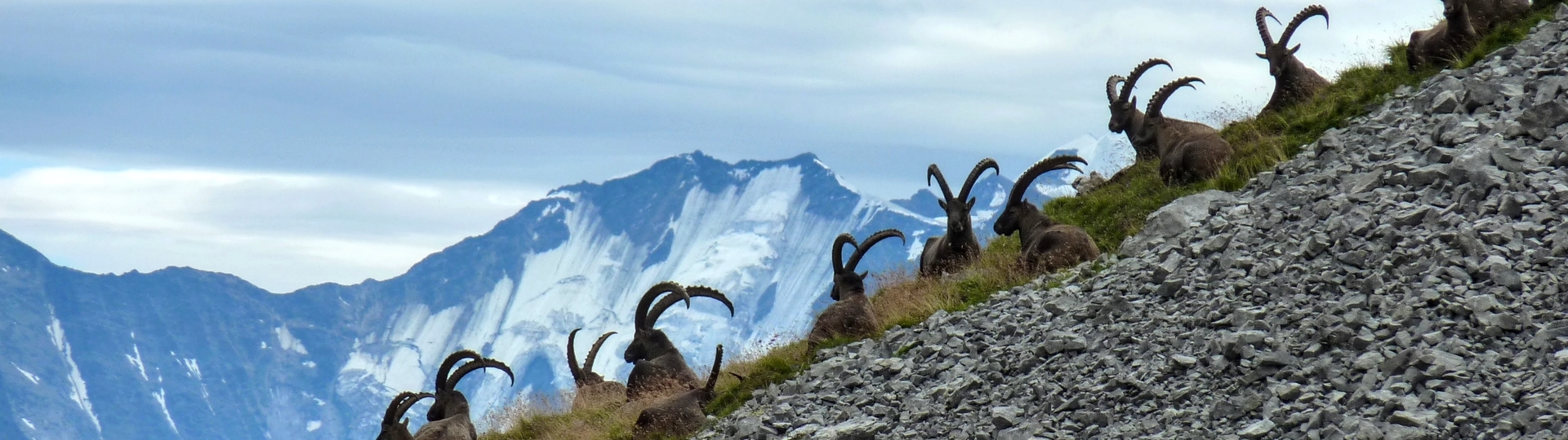 SECRET VALLEYS OF THE ARAVIS MASSIF
