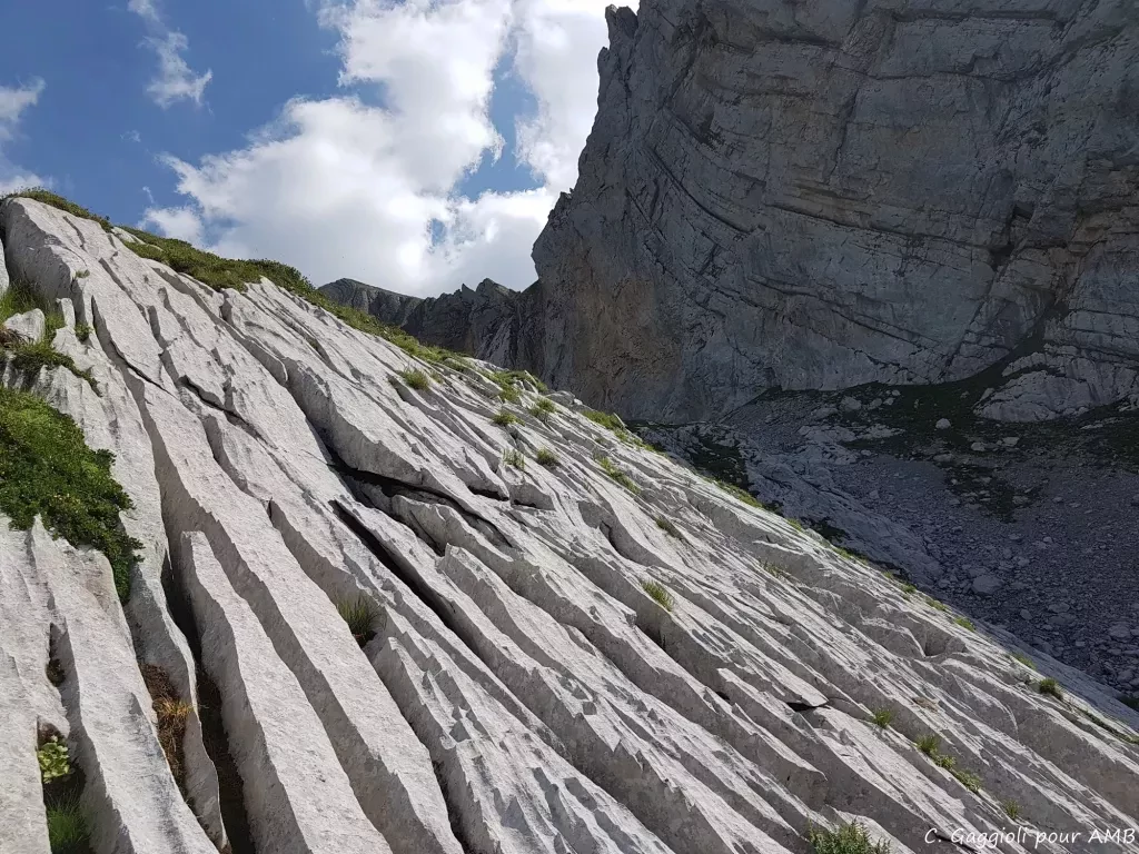 media-library44i8s4062e5f7sdbQwo