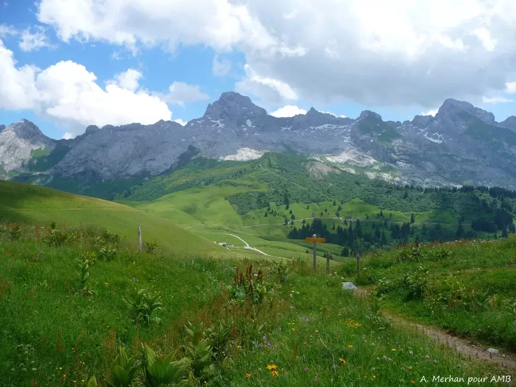 media-librarye5ecodhp28gb9kVk01m