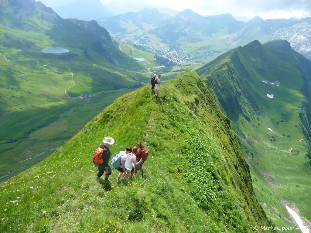 media-libraryo9scle6p0hi41IKWGTo