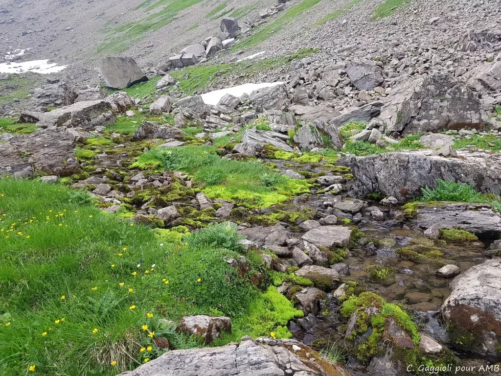 media-librarybc0c79upjsih2fQi7Pm