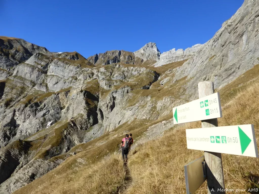 media-library3540gsadjill1z1QqLm