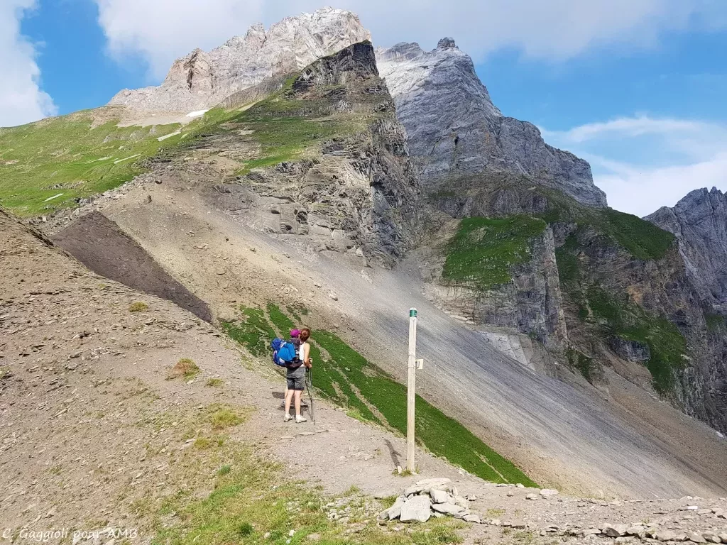 media-library2oqbbko65n44dVSVnao