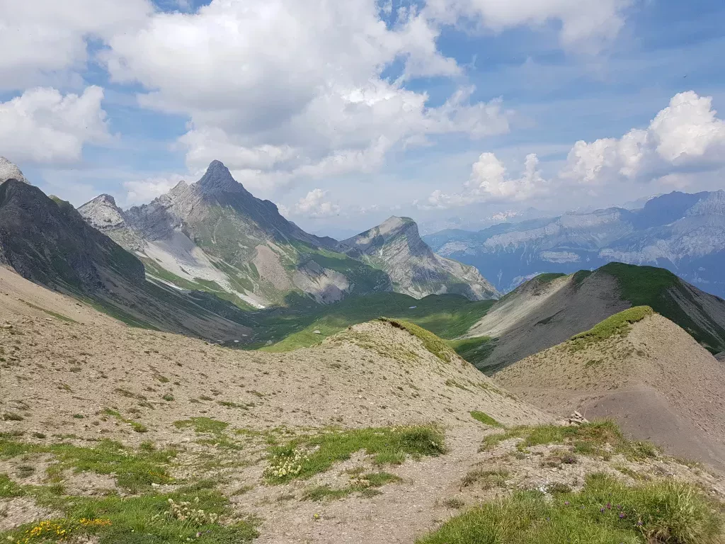 media-library8t5nufk7cv43dzcbWgp