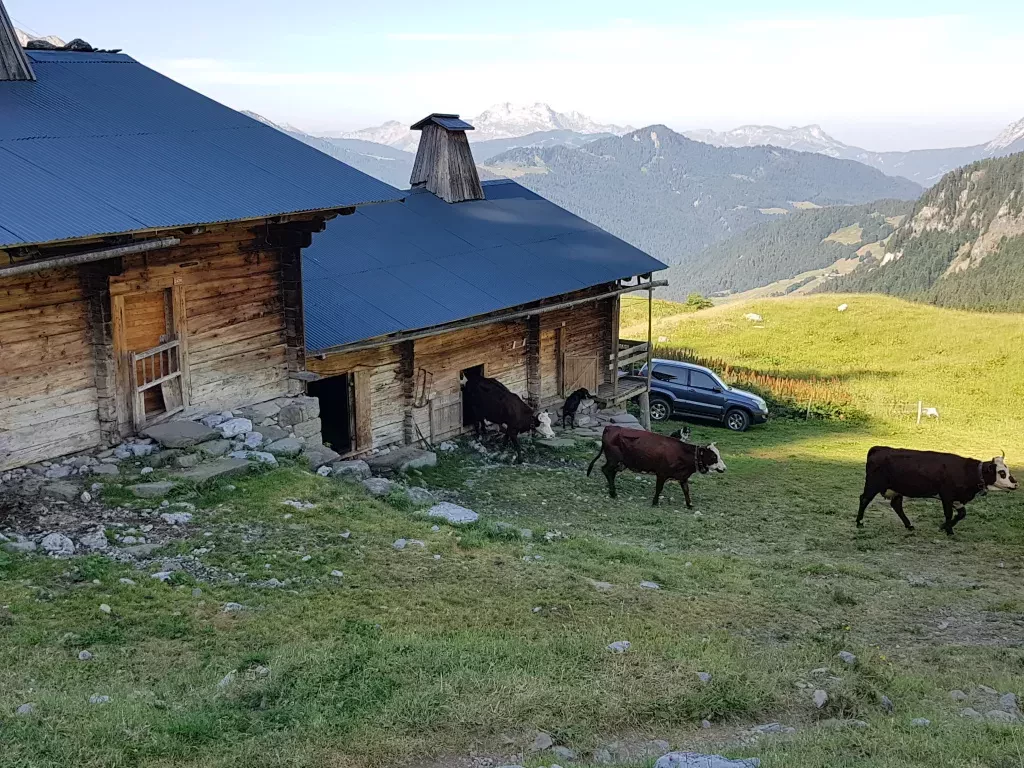 media-libraryftf76d2g92m1afCubFo