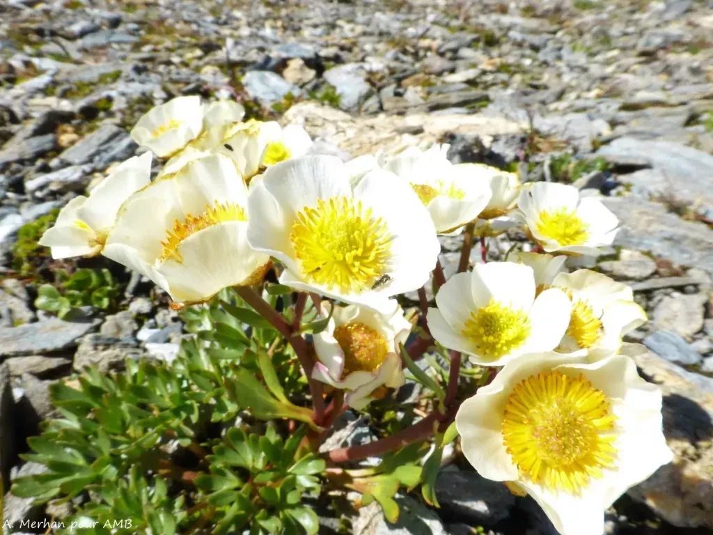 media-library7qloim3l8bqk97wKsTo