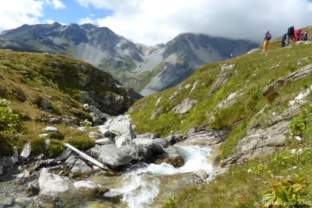 media-library7b38uvpnl7uf1OJgRnn