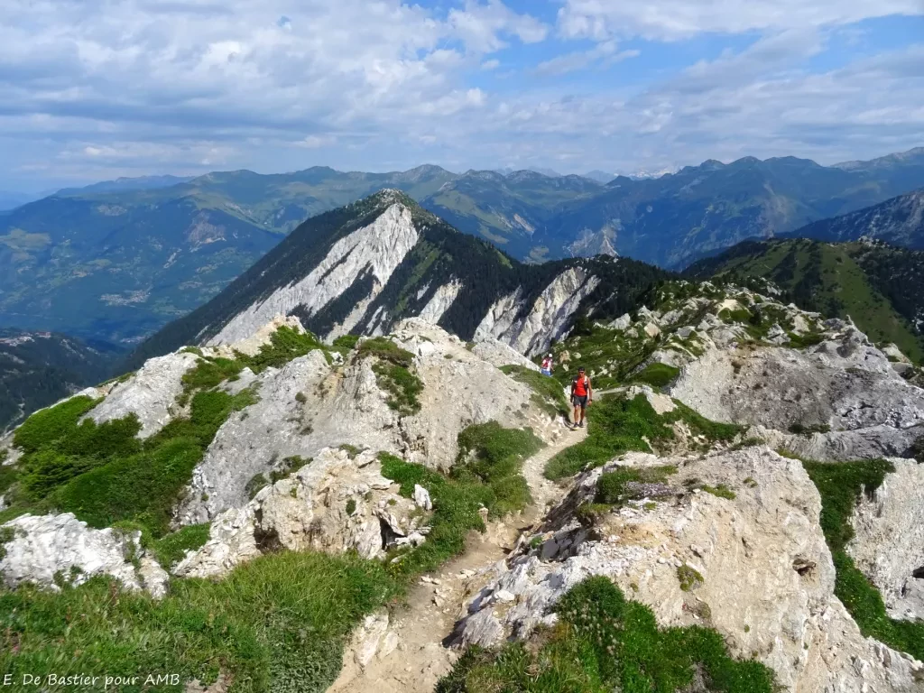 media-libraryn6fiqusvk29k9mnaHEl