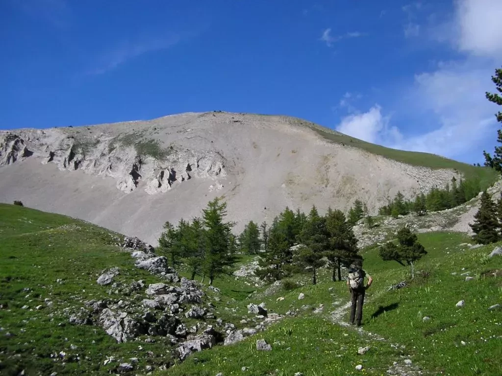 media-librarysn9f8i916q9k7DtmOZm