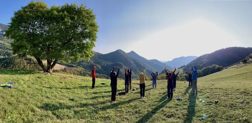 media-library2qaphaukpmolaP9M9In