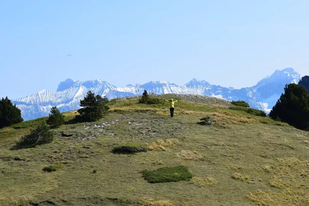 media-librarylf060ms6kjba7B278tn