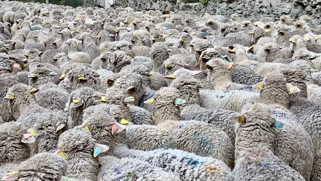 media-libraryivkhribsjhd4fh9Rwzm