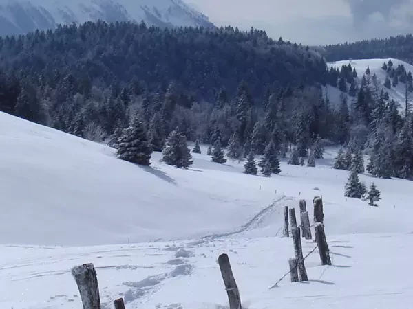 SNOWSHOES AND WELLNESS - Bauges Mountains