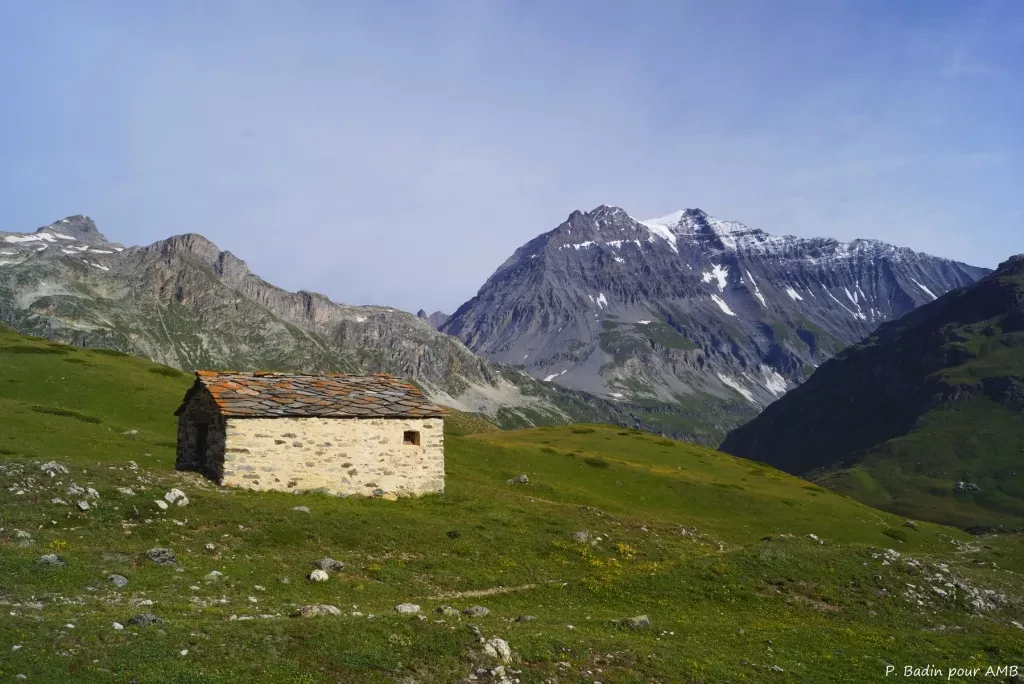 media-libraryi9roaigsf9cr3kkmFHo