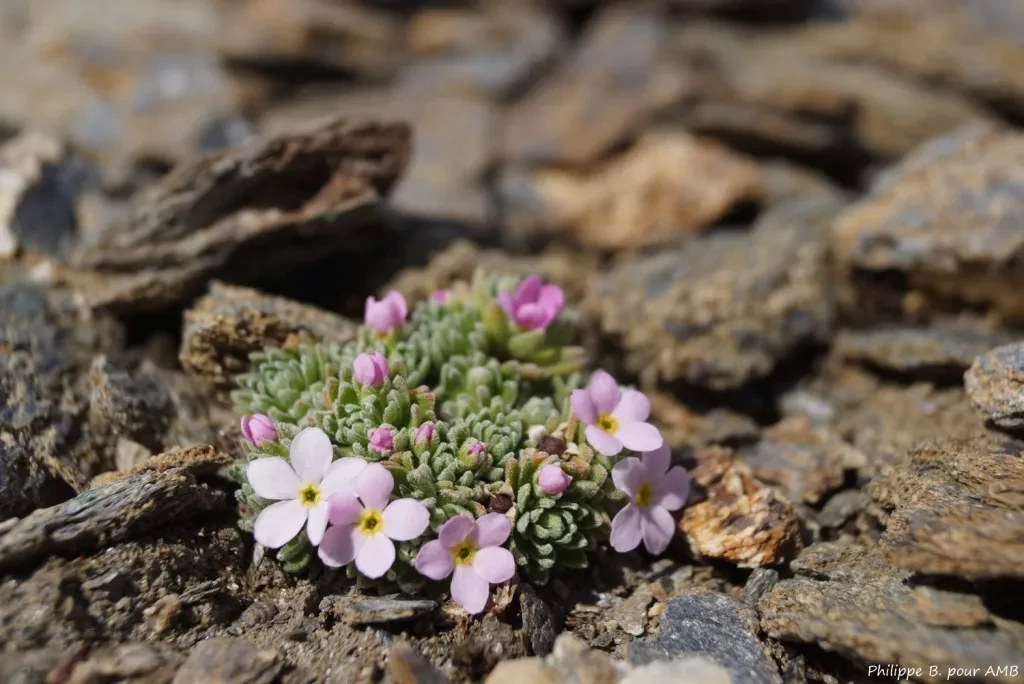 media-librarybria2av9vnjv1EDdMSl