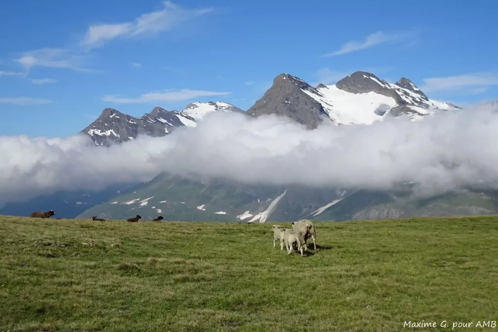 media-libraryt5uu8ko1kj8o5YAPOep