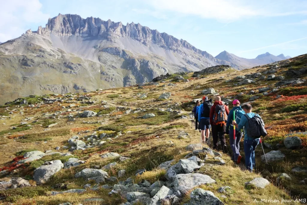 media-library9n24nce8lalj3KVNhnn