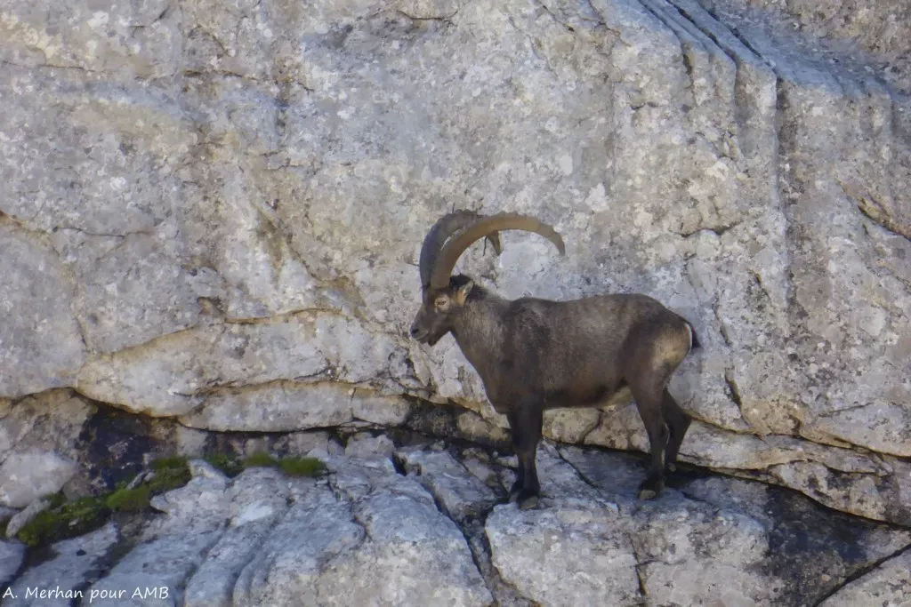 media-libraryokv0kge86oi6dgMhSem