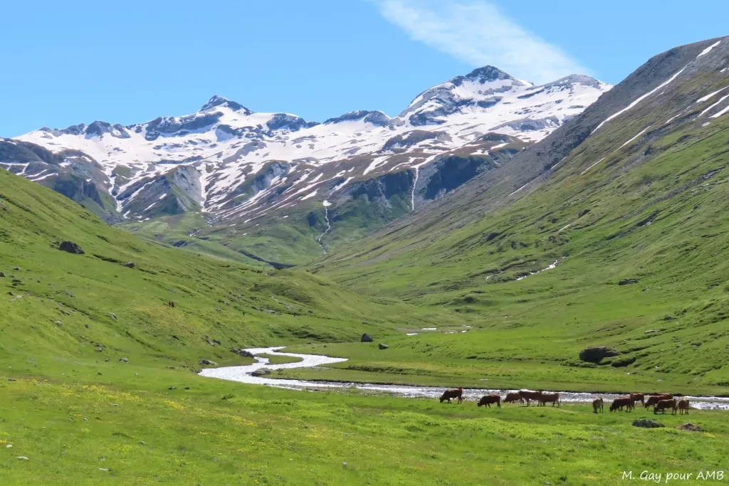 media-librarymk1td53s2eu13zXAfIm