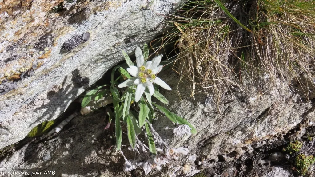 media-libraryathr1deg9jpp3eGt4tn