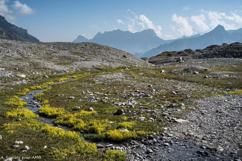 media-librarykmdpkufolgdq2btRSom