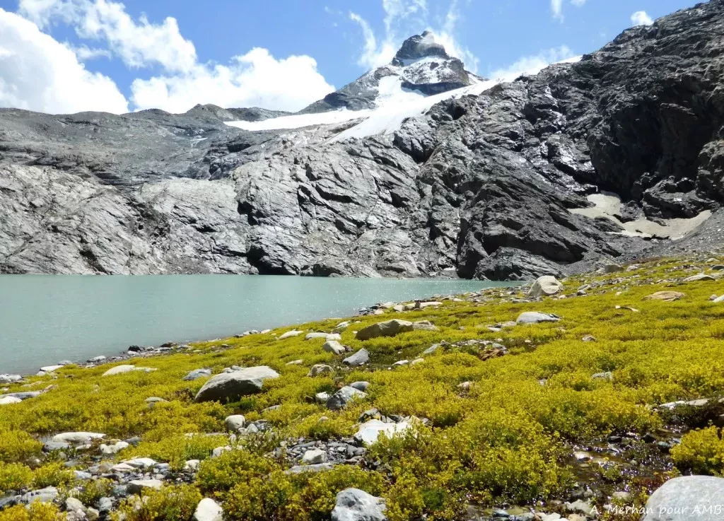 media-librarybjp4hmn7h7294dyGmQn