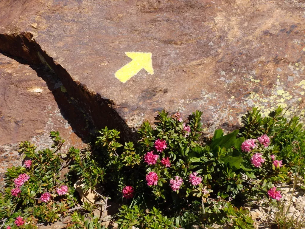 media-library0q7rnr56oblj71RbRAo