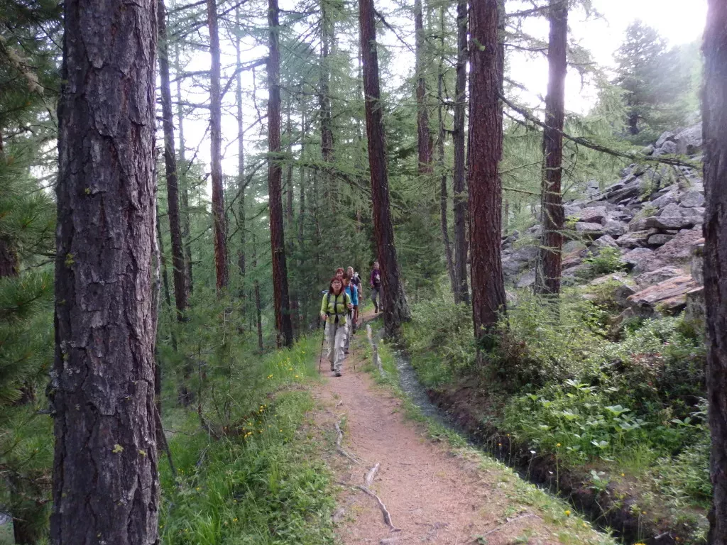 media-libraryumi7b2u80ra2aCLkmLo