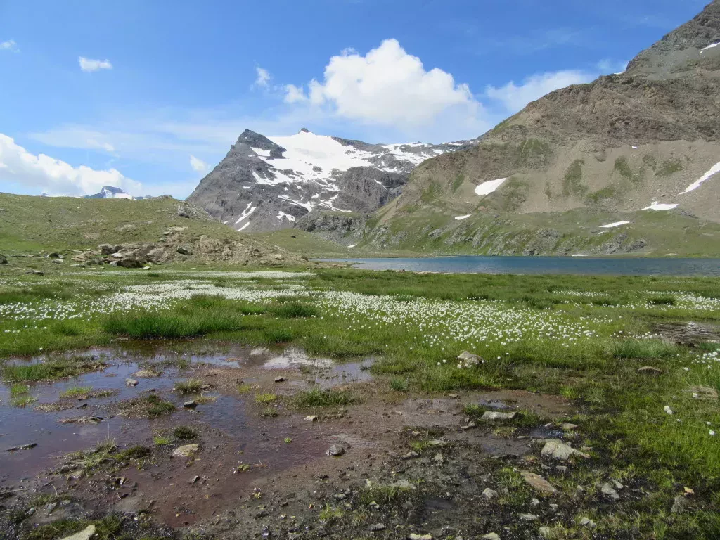 media-libraryeg0mtdgncidb1Ohzj3p