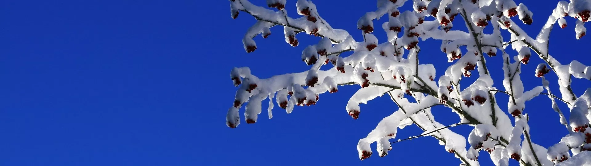 LE QUEYRAS SAUVAGE EN RAQUETTES