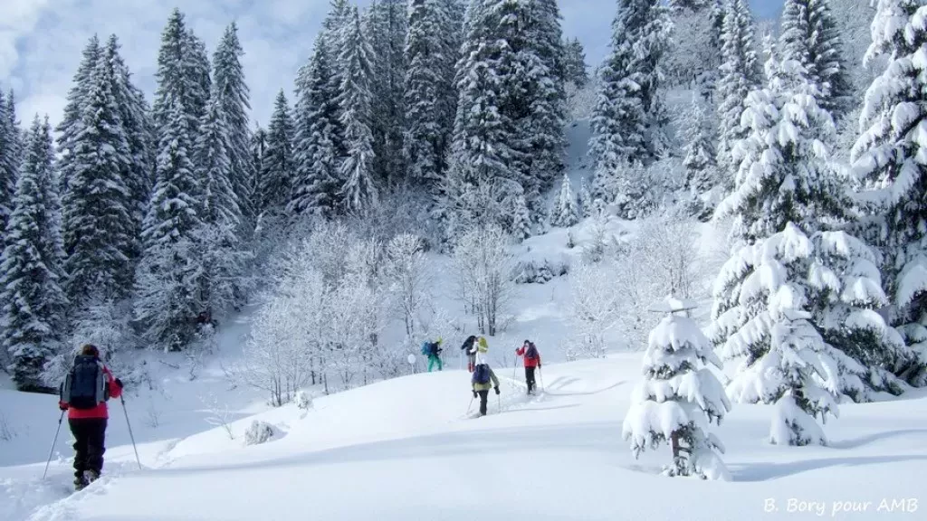 media-libraryd5824r66e7ql2PVYYXn