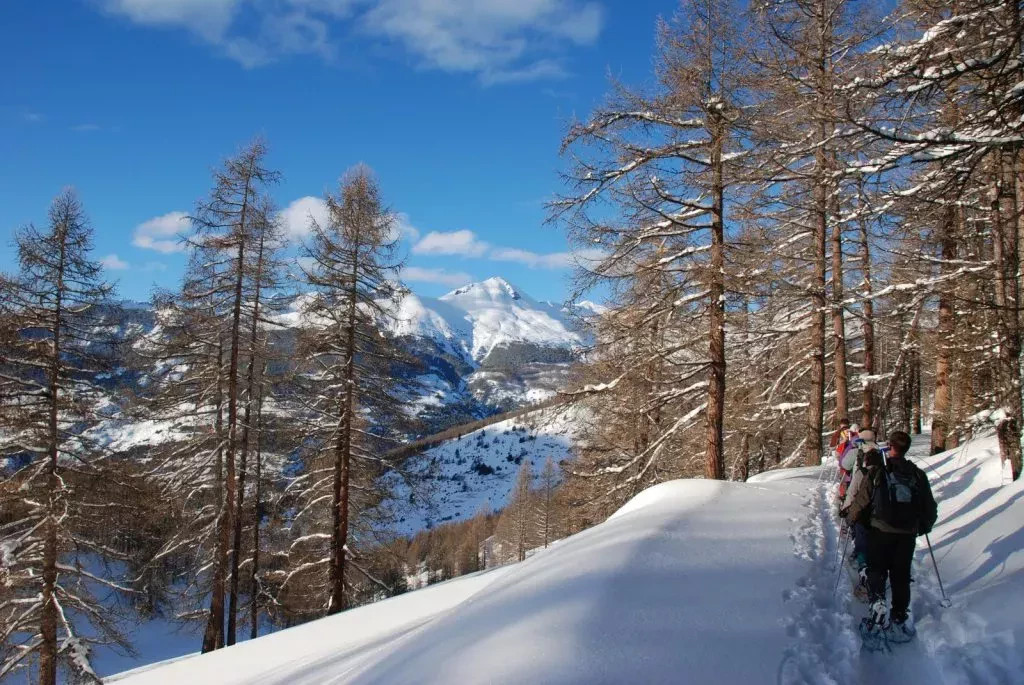 media-library8cut0d78lmvo5LhXBOo