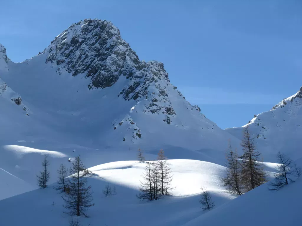 media-libraryunjtj7pbh5n8fpuLR6m