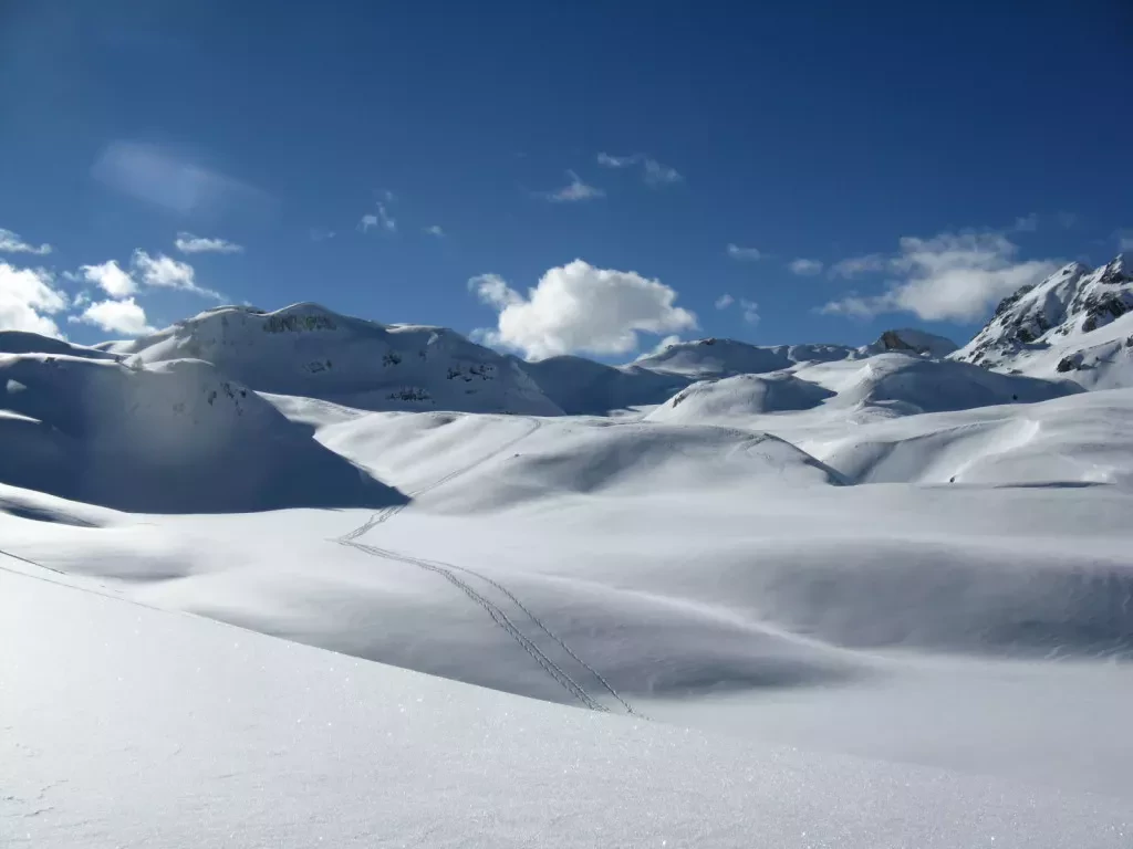 media-librarypoal1bmoshku1LeAyyo