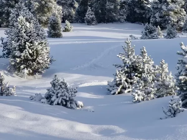 TRAVERSÉE DU VERCORS EN RAQUETTES